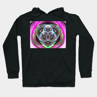 Enlightened Hearts Hoodie